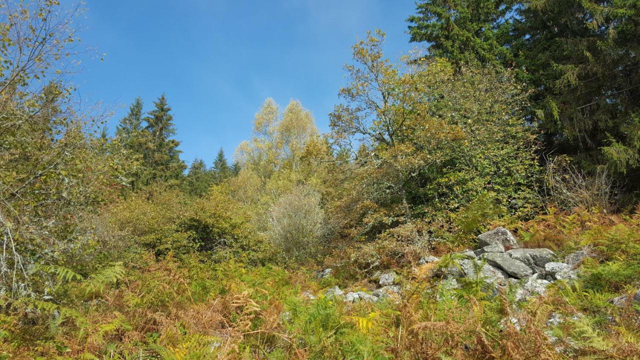 Gite De Sauviat 25 Chemin Du Grand Pacher Le Bourg De Sauviat 63120 Екстер'єр фото