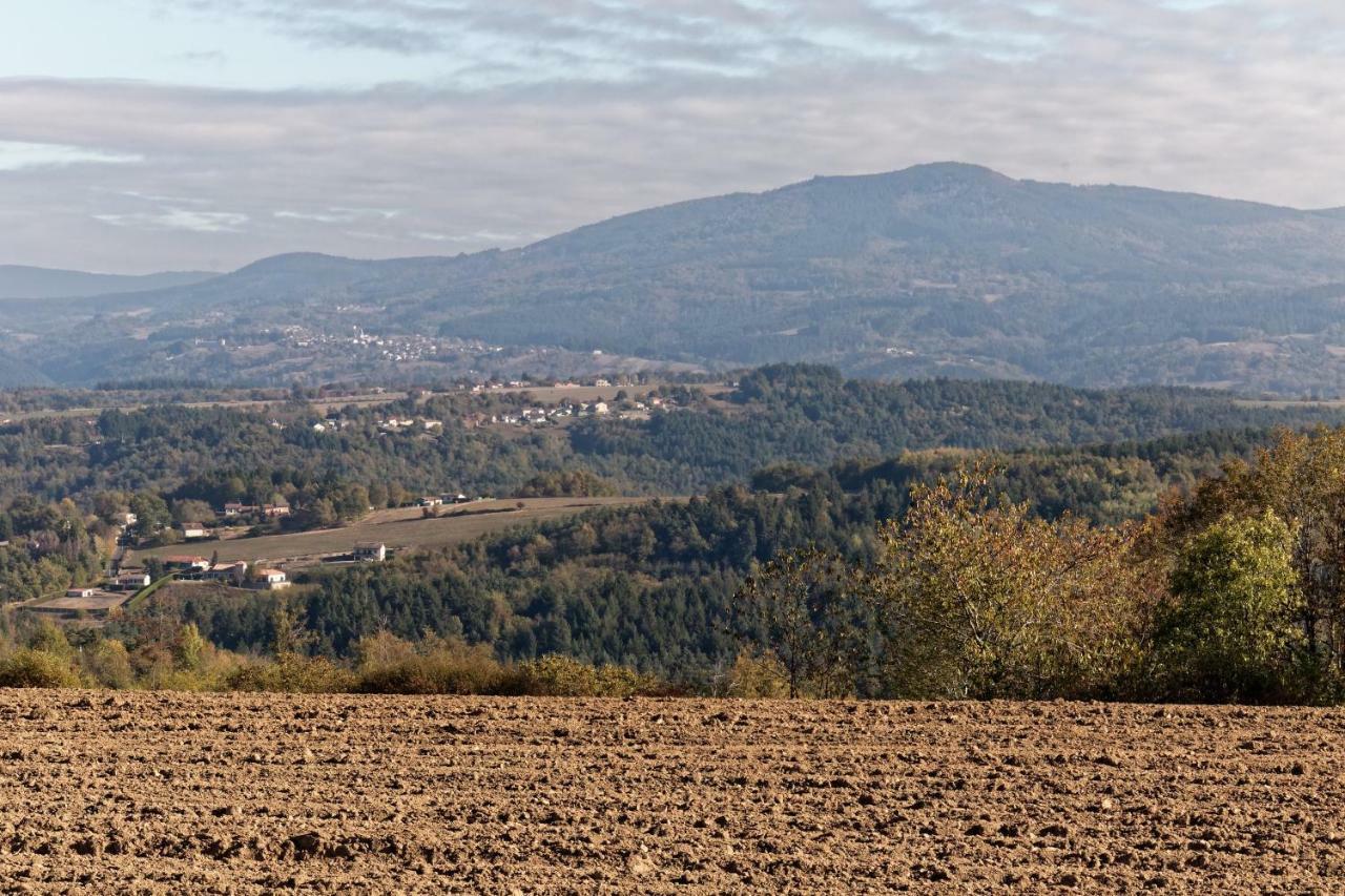 Gite De Sauviat 25 Chemin Du Grand Pacher Le Bourg De Sauviat 63120 Екстер'єр фото