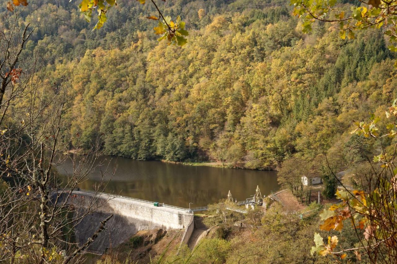 Gite De Sauviat 25 Chemin Du Grand Pacher Le Bourg De Sauviat 63120 Екстер'єр фото